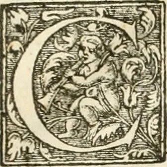 An illustration from Entree de Loys XIII. roy de France et de Navarre dans sa ville d'Arles, le xxix octobre M. DC. XXII. : estans consuls et gouuerneurs de ladicte ville Pierre de Boches & Nicolas Dycard de l'estat des nobles, & Gauchier Peint & Claude Ianim de celuy des bourgeois, 1623, leaf 10