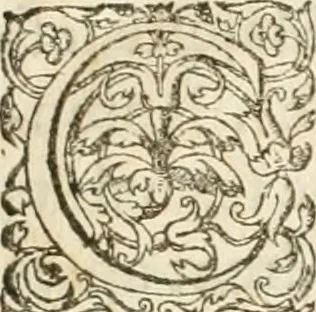 An illustration from Entree de Loys XIII. roy de France et de Navarre dans sa ville d'Arles, le xxix octobre M. DC. XXII. : estans consuls et gouuerneurs de ladicte ville Pierre de Boches & Nicolas Dycard de l'estat des nobles, & Gauchier Peint & Claude Ianim de celuy des bourgeois, 1623, leaf 12