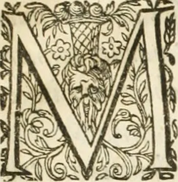 An illustration from Entree de Loys XIII. roy de France et de Navarre dans sa ville d'Arles, le xxix octobre M. DC. XXII. : estans consuls et gouuerneurs de ladicte ville Pierre de Boches & Nicolas Dycard de l'estat des nobles, & Gauchier Peint & Claude Ianim de celuy des bourgeois, 1623, leaf 22