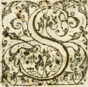 An illustration from Entree de Loys XIII. roy de France et de Navarre dans sa ville d'Arles, le xxix octobre M. DC. XXII. : estans consuls et gouuerneurs de ladicte ville Pierre de Boches & Nicolas Dycard de l'estat des nobles, & Gauchier Peint & Claude Ianim de celuy des bourgeois, 1623, leaf 28