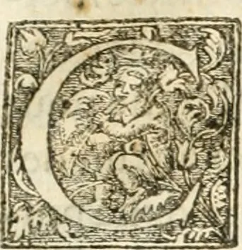 An illustration from Entree de Loys XIII. roy de France et de Navarre dans sa ville d'Arles, le xxix octobre M. DC. XXII. : estans consuls et gouuerneurs de ladicte ville Pierre de Boches & Nicolas Dycard de l'estat des nobles, & Gauchier Peint & Claude Ianim de celuy des bourgeois, 1623, leaf 42