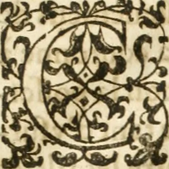 An illustration from Entree de Loys XIII. roy de France et de Navarre dans sa ville d'Arles, le xxix octobre M. DC. XXII. : estans consuls et gouuerneurs de ladicte ville Pierre de Boches & Nicolas Dycard de l'estat des nobles, & Gauchier Peint & Claude Ianim de celuy des bourgeois, 1623, leaf 56