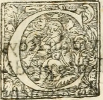 An illustration from Entree de Loys XIII. roy de France et de Navarre dans sa ville d'Arles, le xxix octobre M. DC. XXII. : estans consuls et gouuerneurs de ladicte ville Pierre de Boches & Nicolas Dycard de l'estat des nobles, & Gauchier Peint & Claude Ianim de celuy des bourgeois, 1623, leaf 72