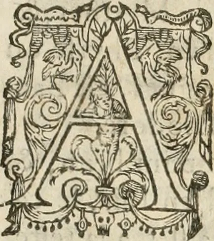 An illustration from Entree de tres haut et tres puissant prince Henry de Bourbon, prince de Condé ... en la ville de Diion, le trentiesme du mois de septembre, mil six cens trente deux, 1632, leaf 48