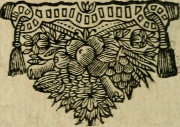An illustration from Entretiens et lettres poëtiqves, 1665, leaf 201