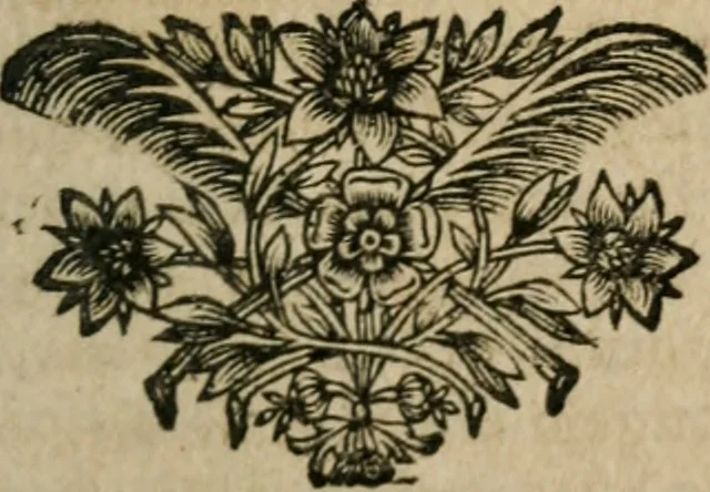 An illustration from Entretiens et lettres poëtiqves, 1665, leaf 238