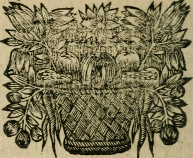 An illustration from Entretiens et lettres poëtiqves, 1665, leaf 311