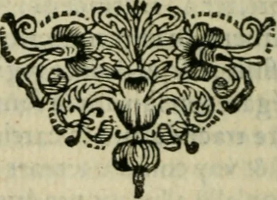 An illustration from Entretiens et lettres poëtiqves, 1665, leaf 47