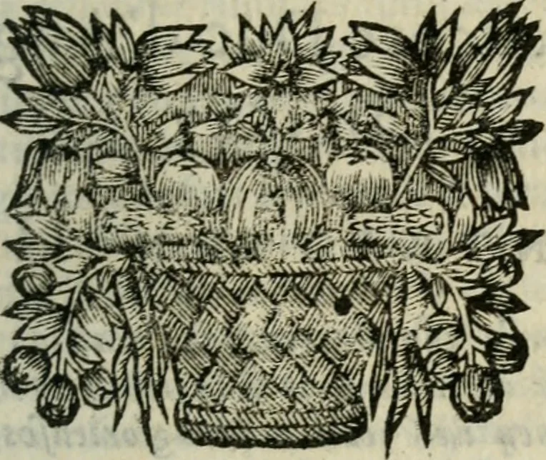 An illustration from Entretiens et lettres poëtiqves, 1665, leaf 64