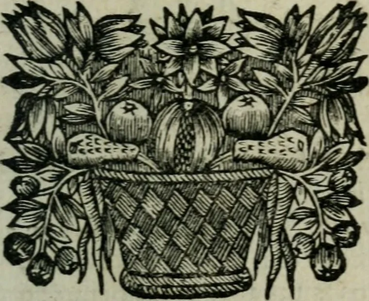 An illustration from Entretiens solitaires, 1660, leaf 116