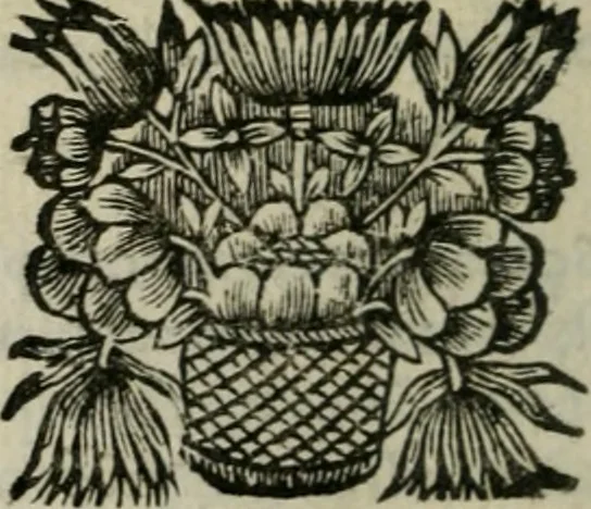 An illustration from Entretiens solitaires, 1660, leaf 189