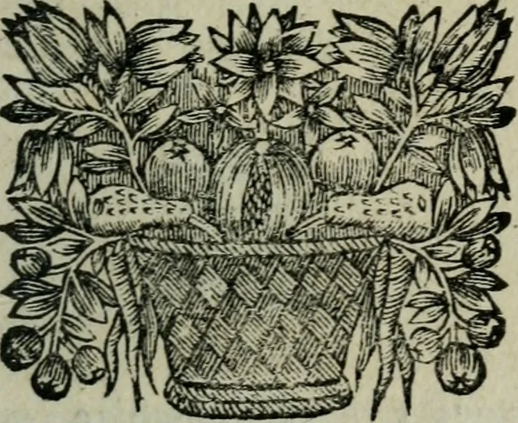 An illustration from Entretiens solitaires, 1660, leaf 198