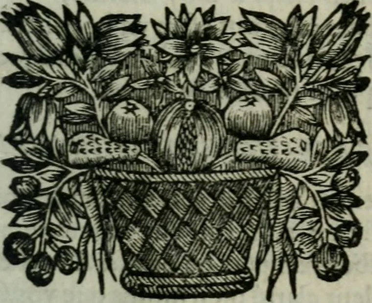An illustration from Entretiens solitaires, 1660, leaf 226