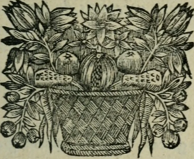 An illustration from Entretiens solitaires, 1660, leaf 88