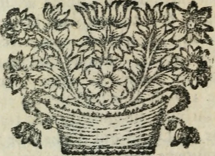 An illustration from Entretiens sur les sciences : dans lesquels on apprend comme l'on se doit servir des sciences, pour se faire l'esprit juste, & le coeur droit : avec la methode d'étudier, 1694, leaf 357