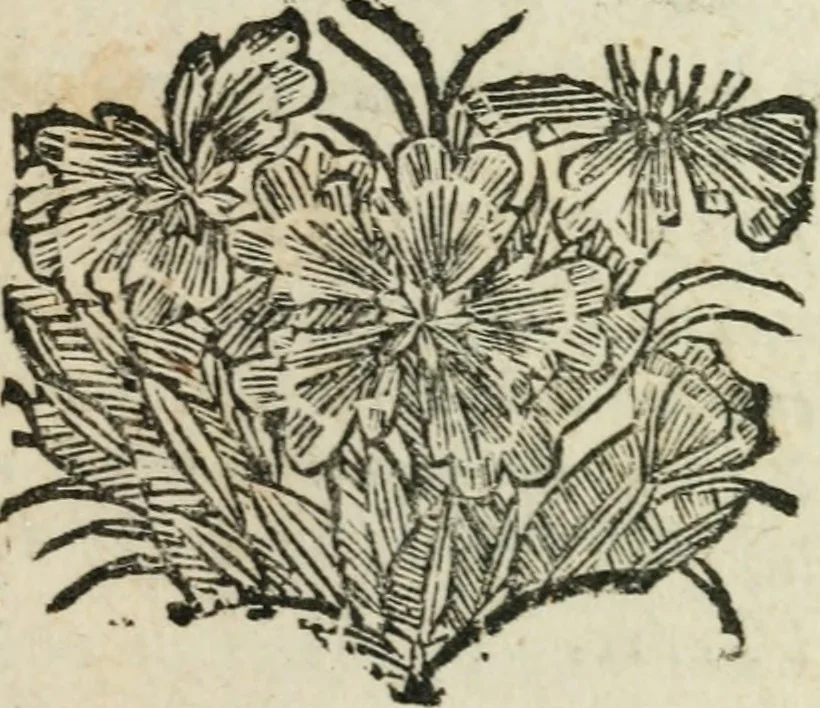 An illustration from Entretiens sur les sciences : dans lesquels on apprend comme l'on se doit servir des sciences, pour se faire l'esprit juste, & le coeur droit : avec la methode d'étudier, 1694, leaf 364