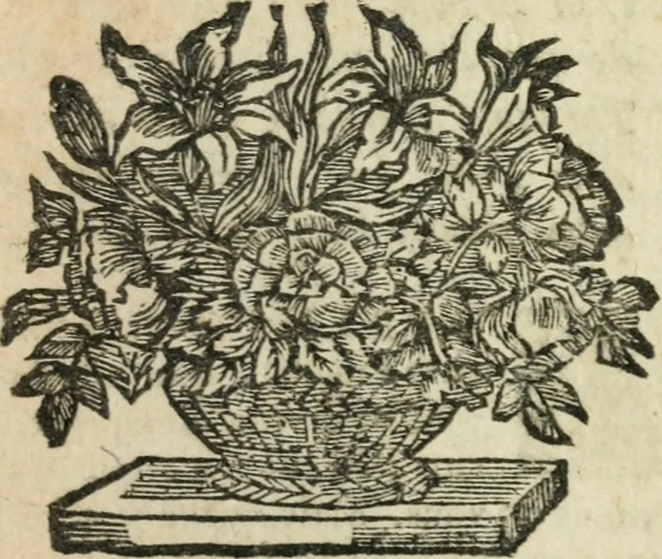 An illustration from Entretiens sur les sciences : dans lesquels on apprend comme l'on se doit servir des sciences, pour se faire l'esprit juste, & le coeur droit : avec la methode d'étudier, 1694, leaf 390