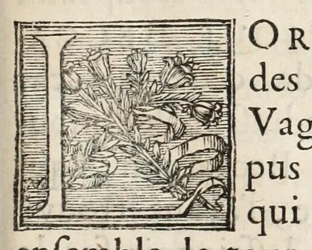 An illustration from Entretiens sur les vies et sur les ouvrages des plus excellens peintres anciens et modernes, 1682, leaf 555