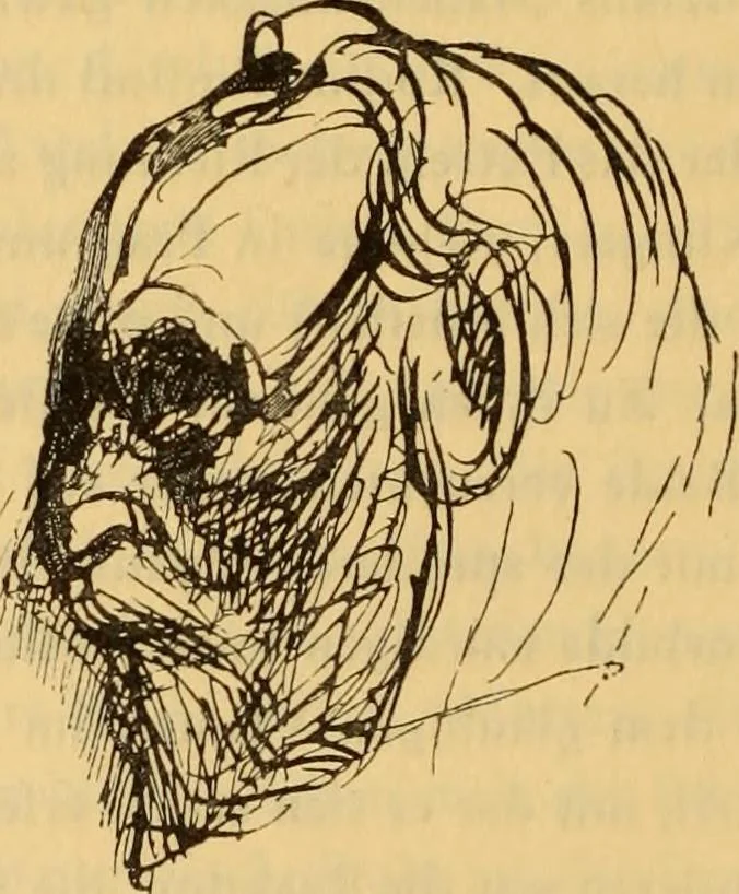 An illustration from Entwicklungsgeschichte der modernen kunst, 1920, leaf 52