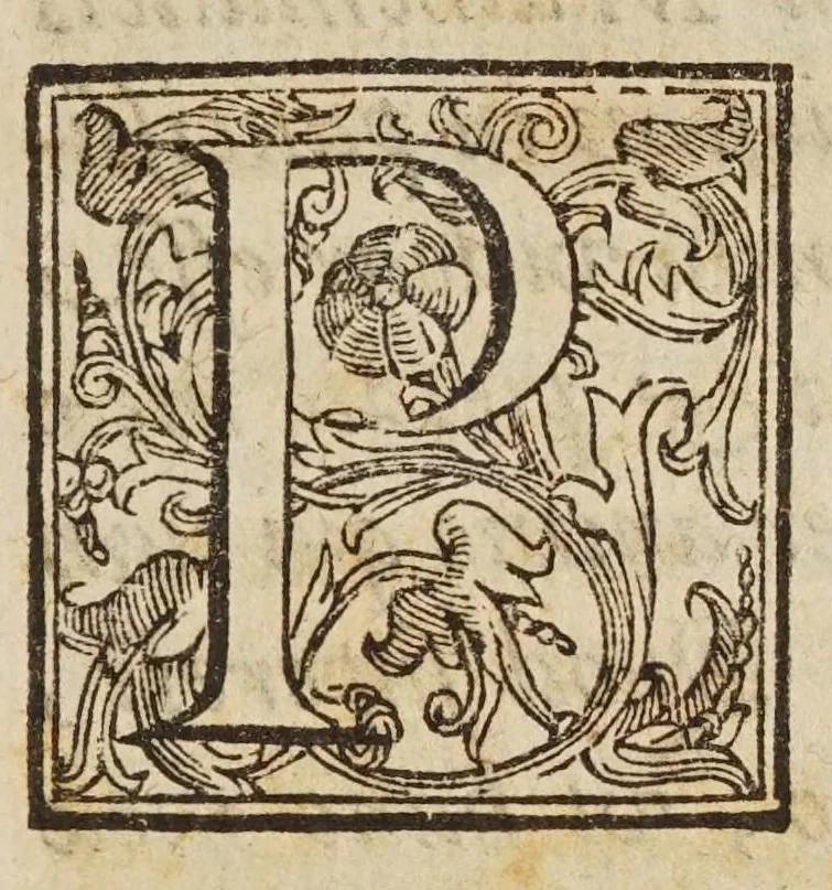 An illustration from Eorvm qvae vehvntvr in aqvis experimenta, 1614, leaf 11