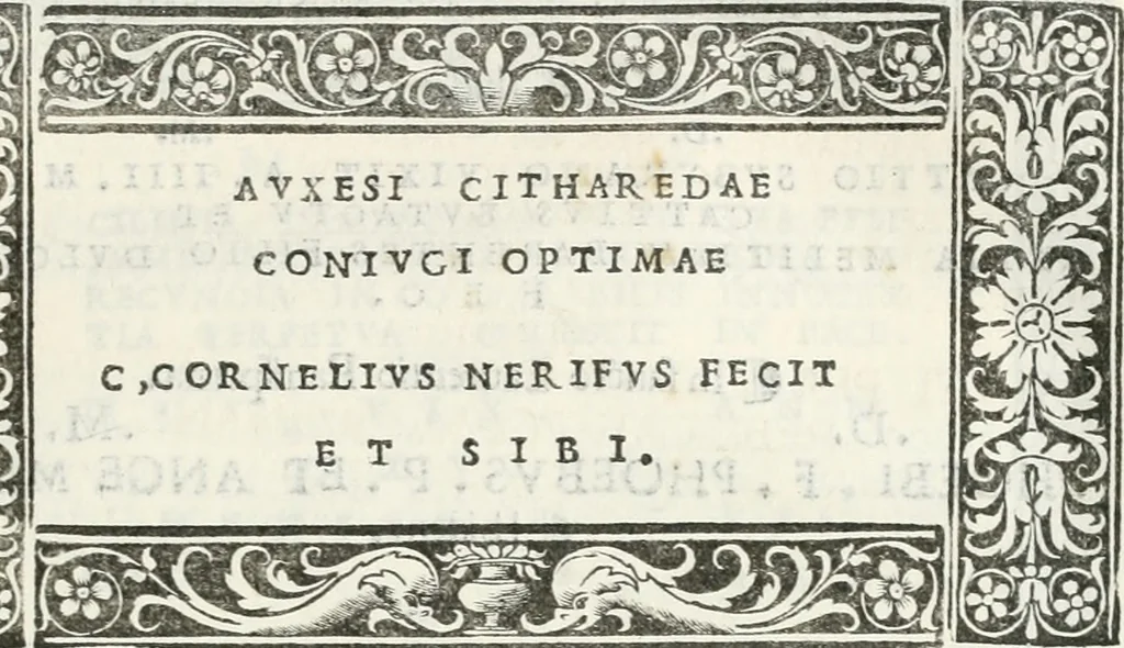 An illustration from Epigrammata antiqvae vrbis .., 1521, leaf 104