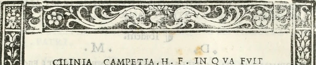 An illustration from Epigrammata antiqvae vrbis .., 1521, leaf 106