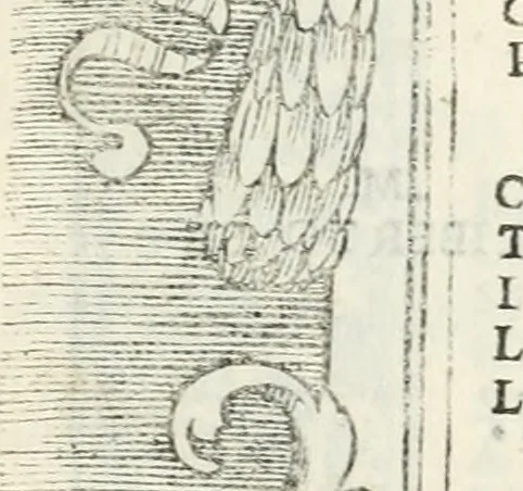 An illustration from Epigrammata antiqvae vrbis .., 1521, leaf 202