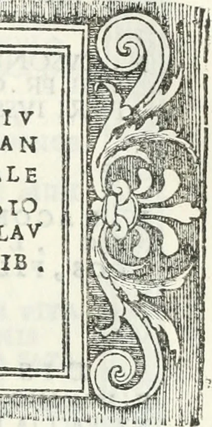 An illustration from Epigrammata antiqvae vrbis .., 1521, leaf 206