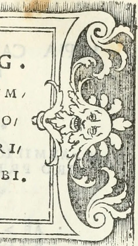 An illustration from Epigrammata antiqvae vrbis .., 1521, leaf 244