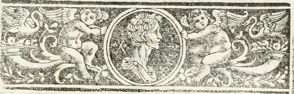 An illustration from Epigrammata antiqvae vrbis .., 1521, leaf 248