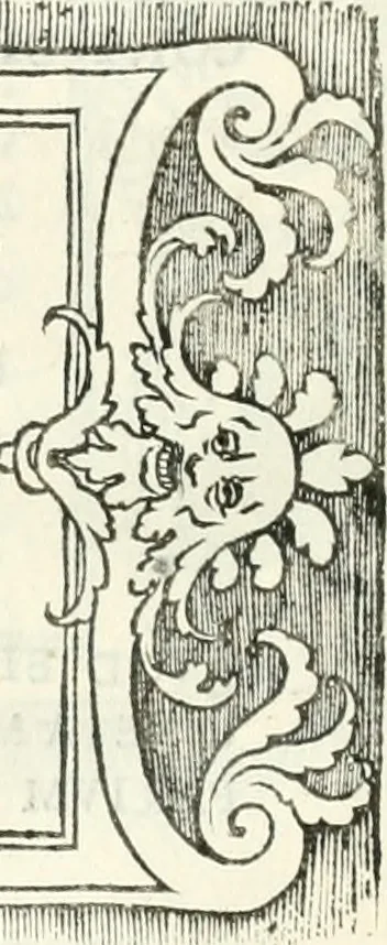 An illustration from Epigrammata antiqvae vrbis .., 1521, leaf 63