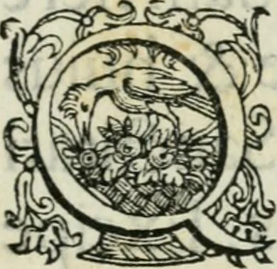 An illustration from Epigrammata Gvilielmi Blanci albiensis ivrisconsvlti in obeliscvm : mirae magnitudinis ex Aegypto quondam à Caio Caligula Romam aduectum, & deinde in Circo Vaticano erectum : iamq. ruderibus penè obrutum in mediam S. Petri aream à Sixto V. Pont. Max. translatum, & superimposita Cruce Christianae Religioni dedicatum : accesserunt ad S.D.N. Sixtvm V. Pont. Max. aliquot eiusdem Blanci anagrammata & epigrammata : cum libello de ratione anagrammatismi ad lectorem, 1586, leaf 6