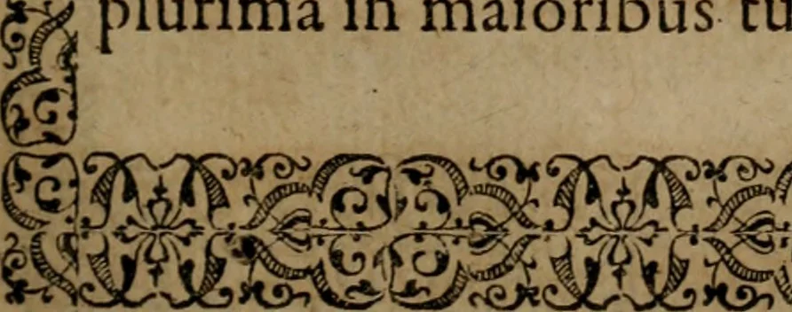 An illustration from Epigrammata Philippi Melanthonis selectiora : formvlis precvm, historiis, paraphrasi dictorum diuinorum, & sententijs grauissimis maxime insignia, 1583, leaf 228