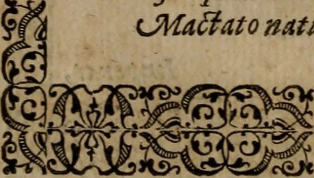 An illustration from Epigrammata Philippi Melanthonis selectiora : formvlis precvm, historiis, paraphrasi dictorum diuinorum, & sententijs grauissimis maxime insignia, 1583, leaf 259