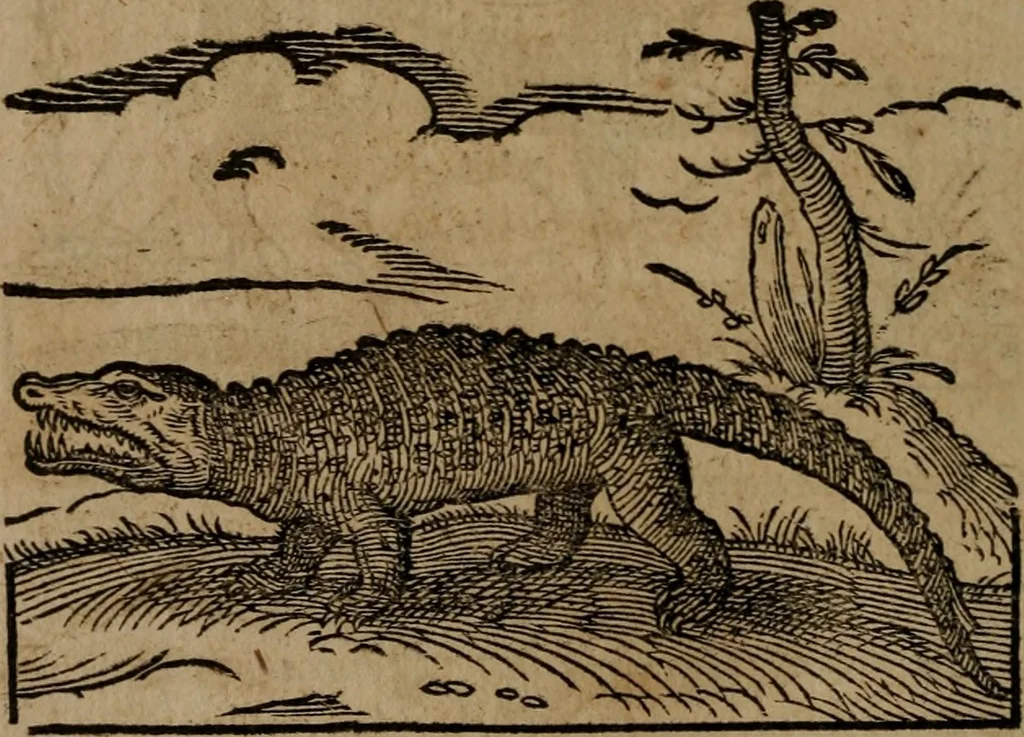 An illustration from Epigrammata Philippi Melanthonis selectiora : formvlis precvm, historiis, paraphrasi dictorum diuinorum, & sententijs grauissimis maxime insignia, 1583, leaf 301