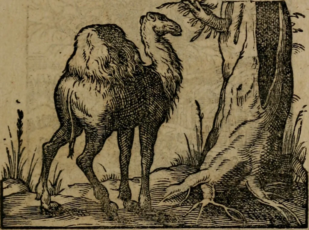 An illustration from Epigrammata Philippi Melanthonis selectiora : formvlis precvm, historiis, paraphrasi dictorum diuinorum, & sententijs grauissimis maxime insignia, 1583, leaf 306