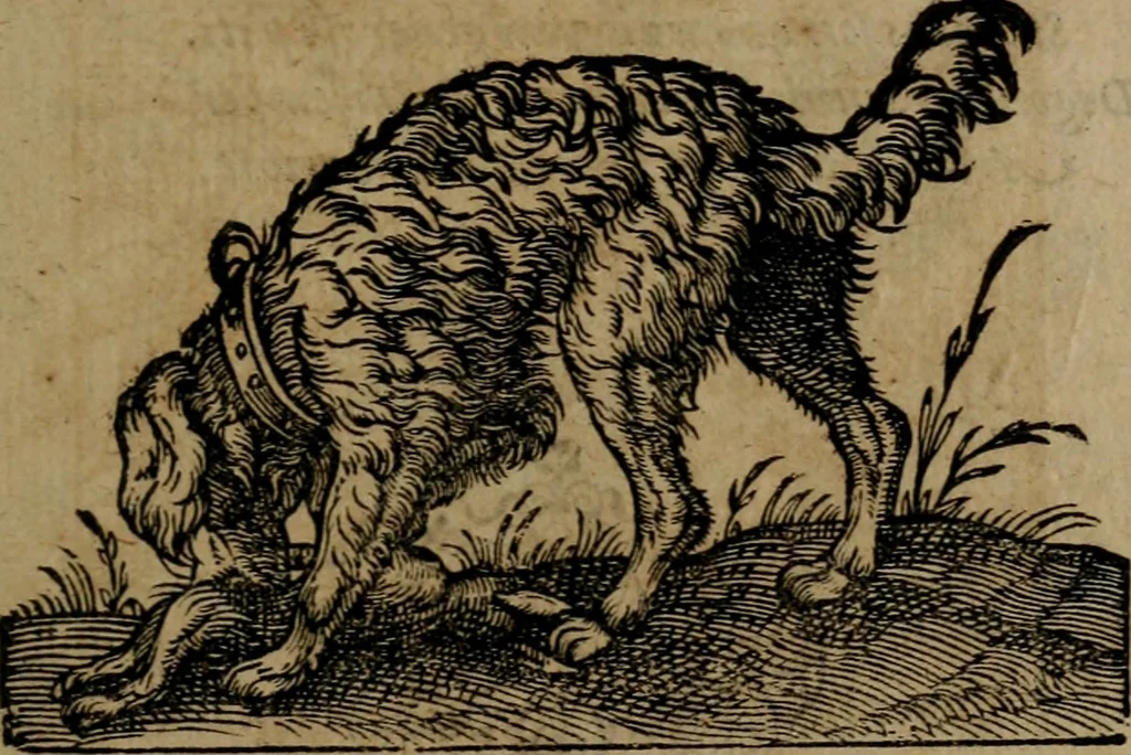 An illustration from Epigrammata Philippi Melanthonis selectiora : formvlis precvm, historiis, paraphrasi dictorum diuinorum, & sententijs grauissimis maxime insignia, 1583, leaf 308