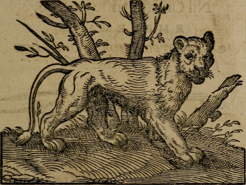 An illustration from Epigrammata Philippi Melanthonis selectiora : formvlis precvm, historiis, paraphrasi dictorum diuinorum, & sententijs grauissimis maxime insignia, 1583, leaf 310