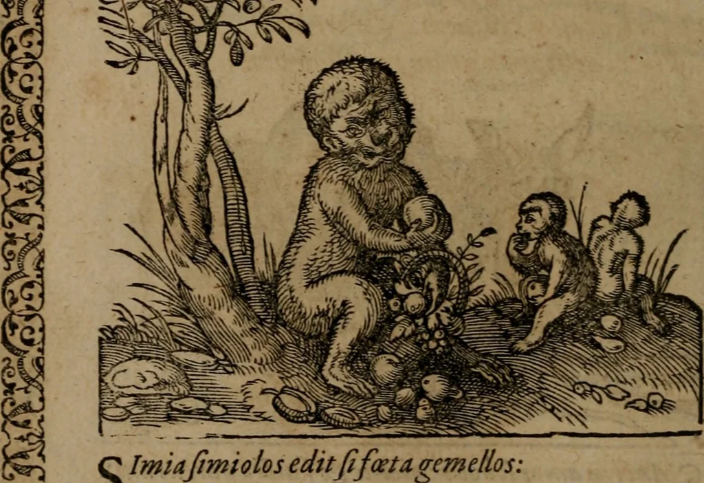 An illustration from Epigrammata Philippi Melanthonis selectiora : formvlis precvm, historiis, paraphrasi dictorum diuinorum, & sententijs grauissimis maxime insignia, 1583, leaf 313