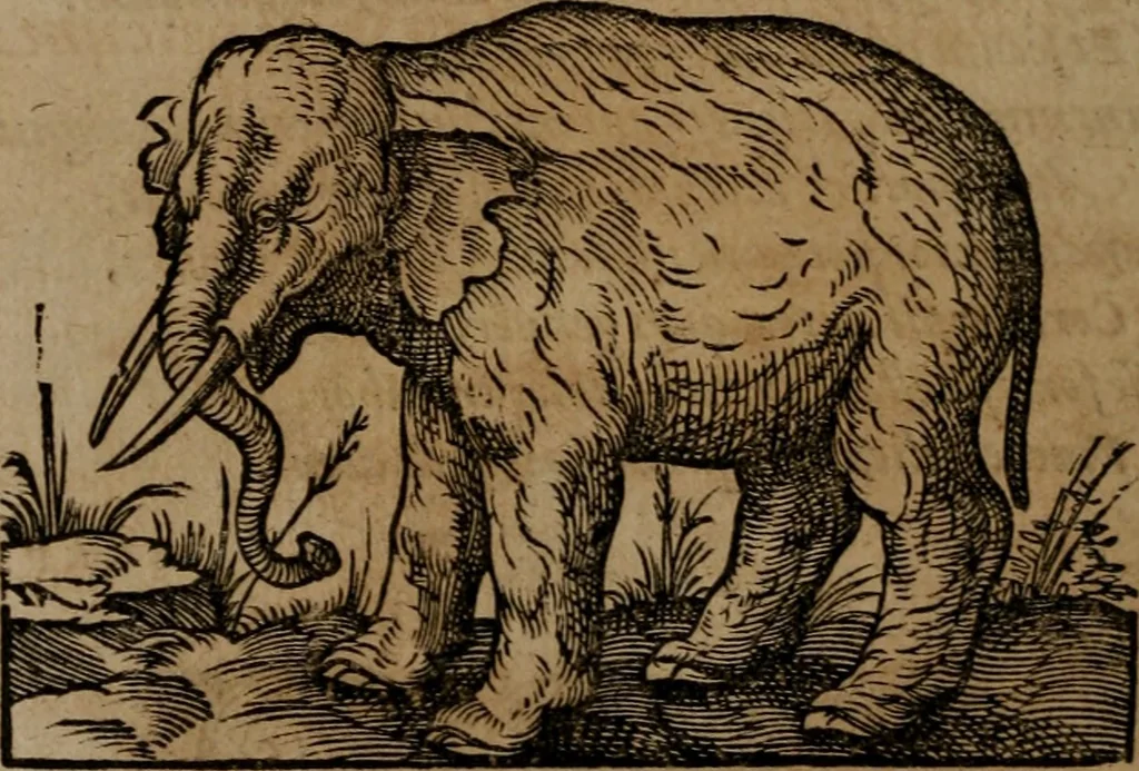 An illustration from Epigrammata Philippi Melanthonis selectiora : formvlis precvm, historiis, paraphrasi dictorum diuinorum, & sententijs grauissimis maxime insignia, 1583, leaf 315