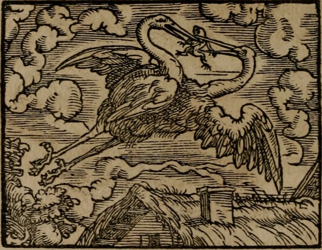 An illustration from Epigrammata Philippi Melanthonis selectiora : formvlis precvm, historiis, paraphrasi dictorum diuinorum, & sententijs grauissimis maxime insignia, 1583, leaf 317