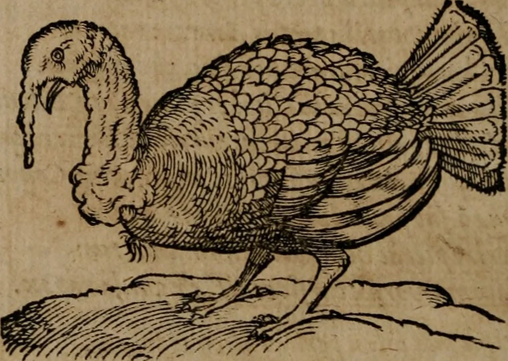 An illustration from Epigrammata Philippi Melanthonis selectiora : formvlis precvm, historiis, paraphrasi dictorum diuinorum, & sententijs grauissimis maxime insignia, 1583, leaf 319