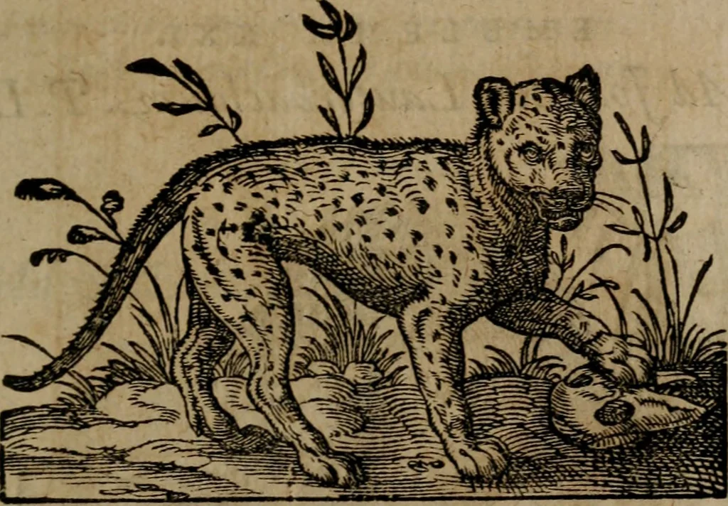 An illustration from Epigrammata Philippi Melanthonis selectiora : formvlis precvm, historiis, paraphrasi dictorum diuinorum, & sententijs grauissimis maxime insignia, 1583, leaf 322