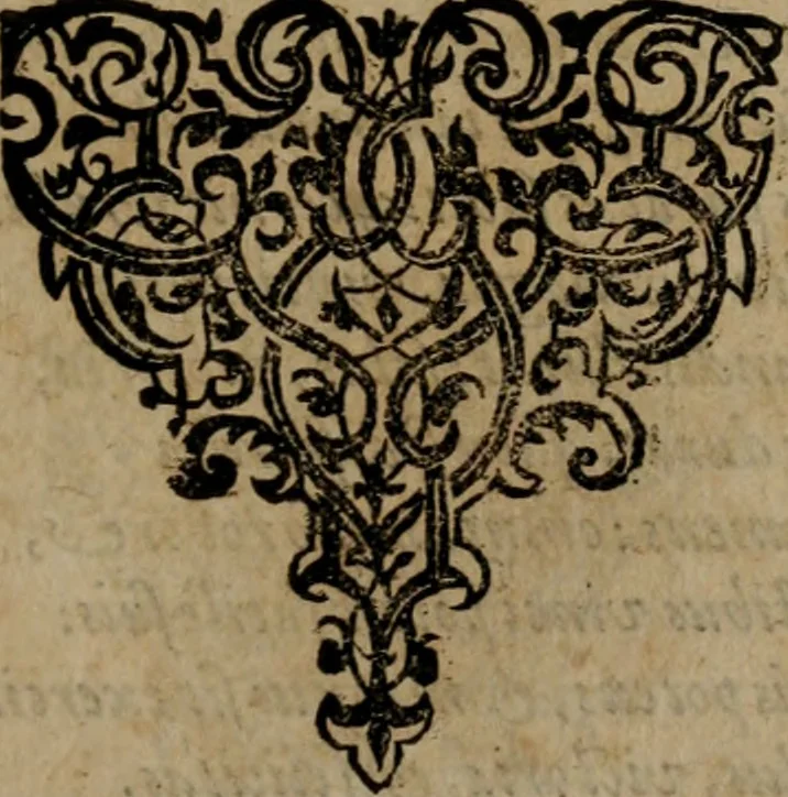 An illustration from Epigrammata Philippi Melanthonis selectiora : formvlis precvm, historiis, paraphrasi dictorum diuinorum, & sententijs grauissimis maxime insignia, 1583, leaf 406