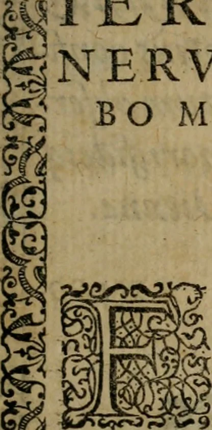 An illustration from Epigrammata Philippi Melanthonis selectiora : formvlis precvm, historiis, paraphrasi dictorum diuinorum, & sententijs grauissimis maxime insignia, 1583, leaf 442