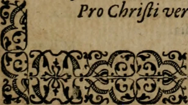 An illustration from Epigrammata Philippi Melanthonis selectiora : formvlis precvm, historiis, paraphrasi dictorum diuinorum, & sententijs grauissimis maxime insignia, 1583, leaf 492