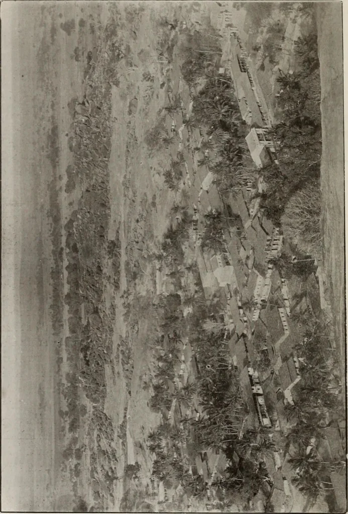 An illustration from Epigraphia carnatica. By B. Lewis Rice, Director of Archaeological Researches in Mysore, 1894, leaf 109