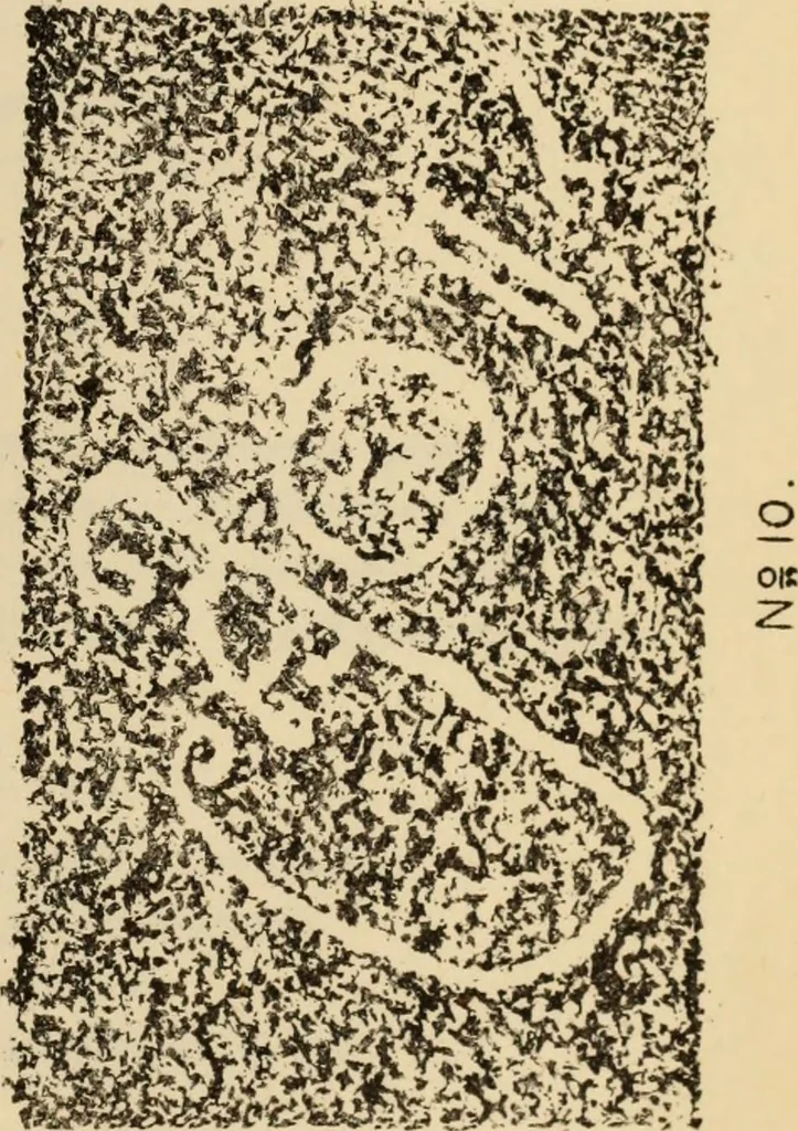 An illustration from Epigraphia carnatica. By B. Lewis Rice, Director of Archaeological Researches in Mysore, 1894, leaf 192