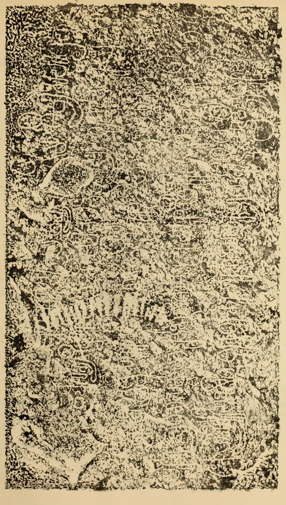 An illustration from Epigraphia carnatica. By B. Lewis Rice, Director of Archaeological Researches in Mysore, 1894, leaf 196