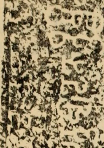 An illustration from Epigraphia carnatica. By B. Lewis Rice, Director of Archaeological Researches in Mysore, 1894, leaf 200